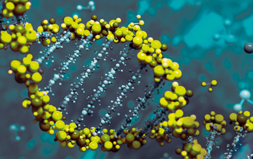 Plasmid DNA